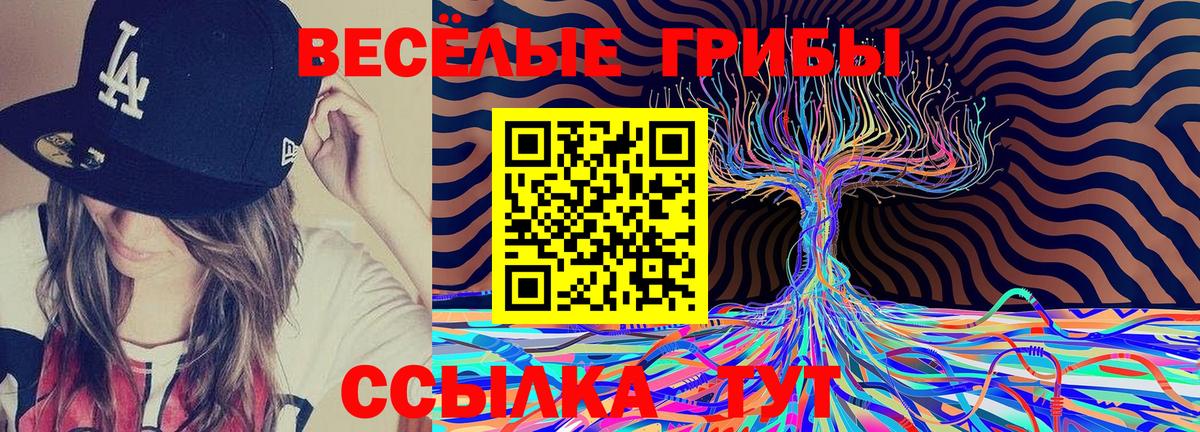 Псилоцибиновые грибы прущие грибы Барабинск