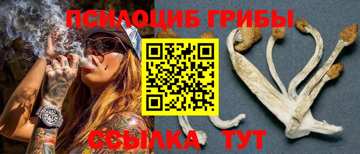 где можно купить   Галлюциногенные грибы Magic Shrooms  Вход с VPN  Барабинск 